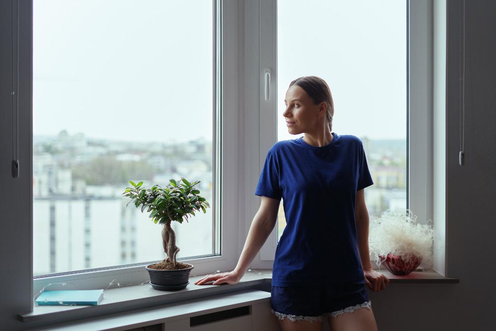 Charleston Vinyl Windows